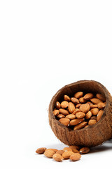 Almond nuts in the shell of the coconut.