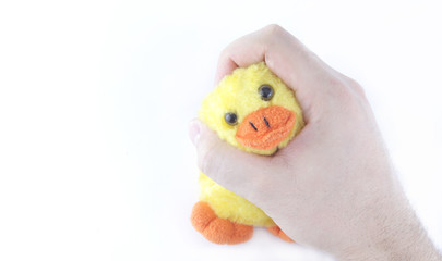 Hand holding duck