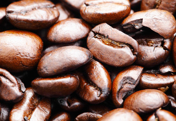 coffee bean