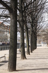 Allee
