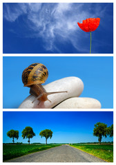 triptyque zen détente