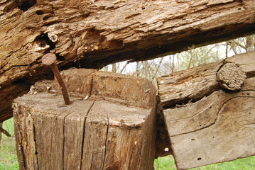 Fototapeta premium Old wood-wormed timber and rusty nail close-up