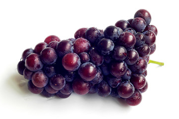 Grape fruits