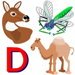 D deer, dragonfly, dromedary
