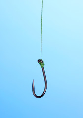 Single fish hook on blue background