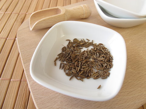 K&uuml;mmel, Carvi fructus