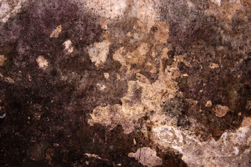 Mildew abstract texture on the wall