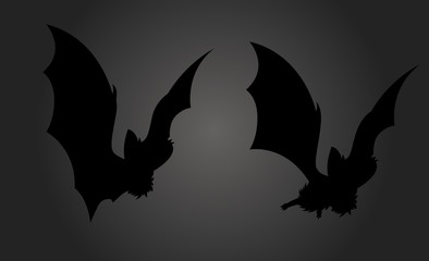 Bats Silhouette