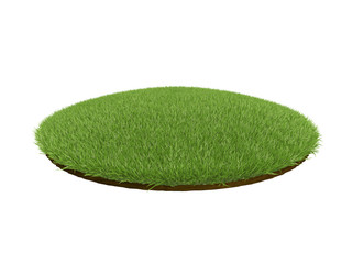 Green grass background 3d render