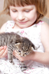young girl playing with kitten at home