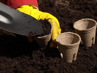 Garden work, closeup