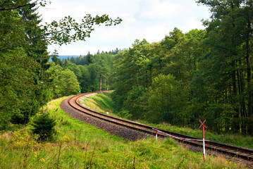 Fototapeta na wymiar Railroad in the Woods