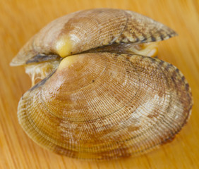 boiled clam