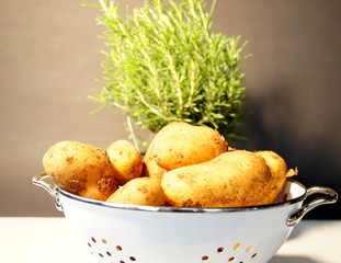 kartoffel