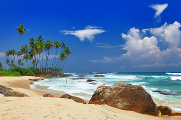 beautiful Sri lanka beaches