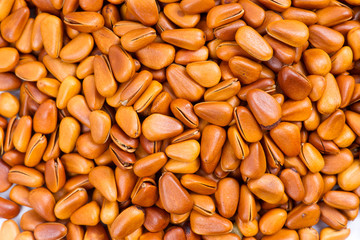 Pine nut