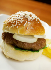 Hamburger with french fries