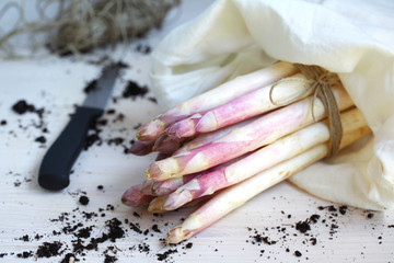 Bunch of asparagus in a bag, freshly cut