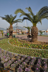 Blumen am Hafen von Alanya, T&uuml;rkei