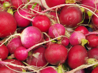 radish