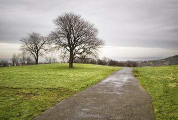 Park with trees in Edinburgh