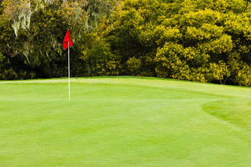 Beautiful Golf Green with Red Flag