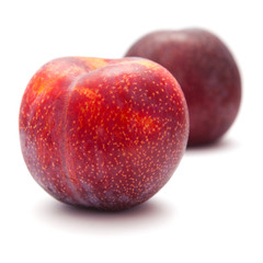 large red plum isolated on white background