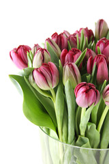 Tulips Bouquet