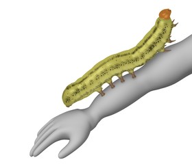 3d render of cartoon character with caterpillar