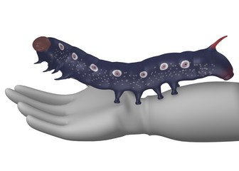 3d render of cartoon character with caterpillar