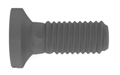 3d render of small screw