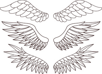 Wings