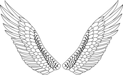 Wing