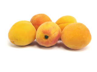 apricots