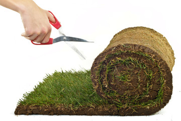 Rollrasen mit Schere