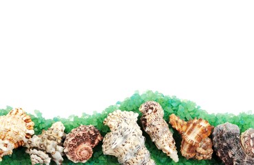 Sea shell border