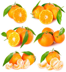 Fresh tangerines