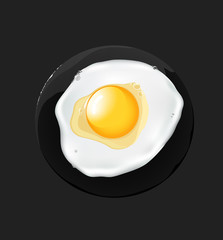 Fried egg. vector illustration
