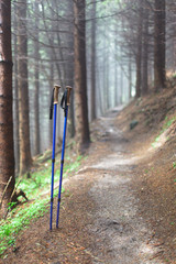 hiking pole