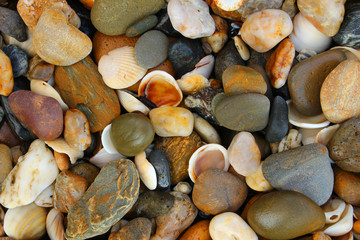 Pebbles and Shells