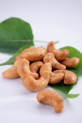 Cashew Nuts