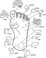 Acupuncture points on foot