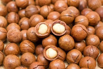 Macadamia