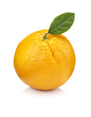 Orange fruit  isolated on white background