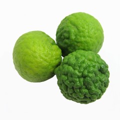 Kafffir Limes Isolated 1