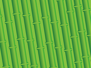 Fototapeta premium Bamboo Background