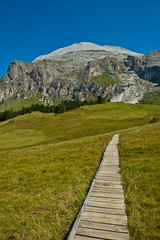 Fototapeta na wymiar Dolomity - Kładka nad trawnikiem i Sassopiatto