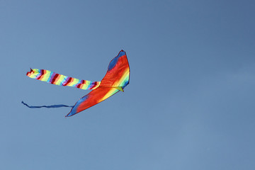 Kite in the sky (freedom)