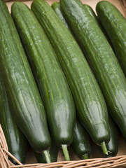 Gurkenkorb