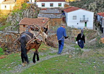 Trabajo en el campo